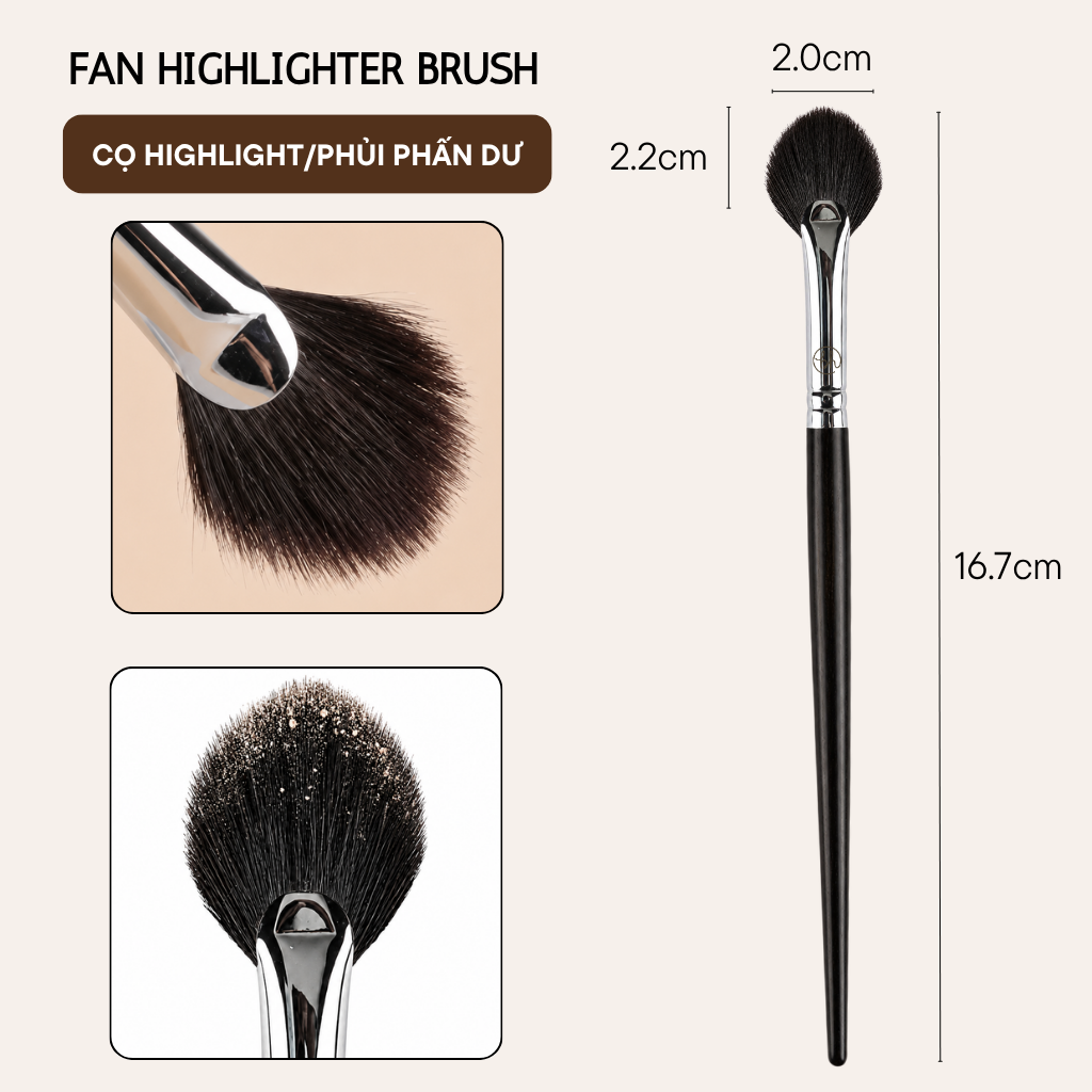 Cọ Quạt Highlight BH Cosmetics Fan Highlighter Brush BH512